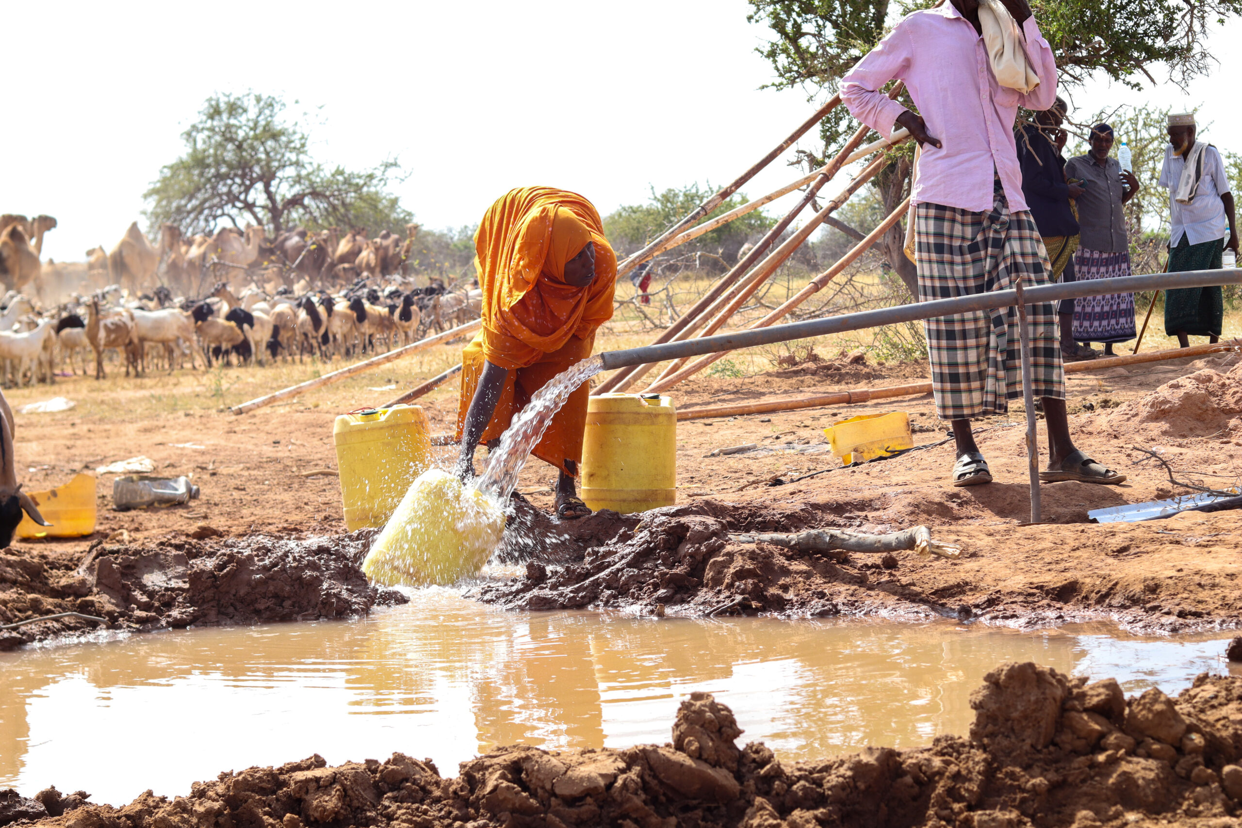 BOREHOLES IN NORTHEASTERN GARISSA COUNTY